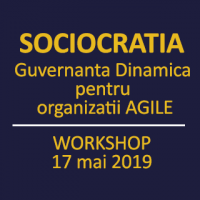 Guvernanta dinamica  pentru organizatii Agile 
