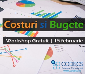 Workshop Gratuit | Costuri si Bugete ... sau unde tai si unde creste