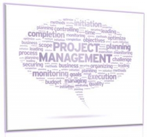 Lectii de management de proiect, atelier interactiv