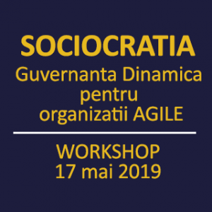Guvernanta dinamica  pentru organizatii Agile 